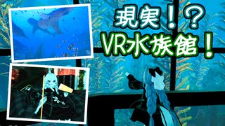 【一緒にVR世界を旅しませんか？】マンタ？ウミガメ？圧巻のVR水族館へ！ ４日目【VRChat】