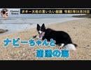 ナビーちゃんと浦添市亀瀬の海　ボギー大佐の言いたい放題　2023年04月09日　08時頃　放送分
