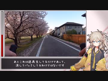 利根川自転車道終点に行きました