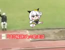 【ウマ娘たぬき】トリビアのたぬき「走り幅跳びの助走は…」