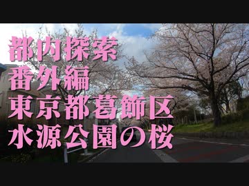 都内探索 番外編 東京都葛飾区  水元公園の桜
