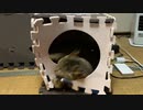 雨の日は機嫌が悪い…