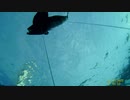 ナチ勝浦沖灯台