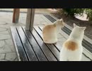 2023年04月07日 飯(Lv340883543) 大ちゃんマン(大司教) 監獄放送ex(Co5651080)