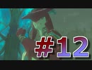 新作発売までに完走を目指すブレワイ実況！part12【ゼルダの伝説 BotW 実況】