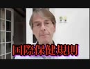【Michael Yeadon】マイケル・イェードン博士、国際保健規則の改訂について解説