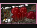 【Minecraft】 #29 そんなにとびたいの？ 【Captive Minecraft III】