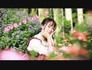 【たまごせんべい】ポジティブ・パレード【踊ってみた】