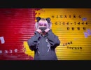 【なちまる】アニマル【踊ってみた】