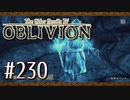 実況 ◇ The Elder Scrolls IV: オブリビオン ◇ 第230幕