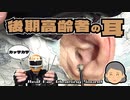 カラー版【カリカリ本物耳かきASMR】おばあちゃんの耳をブラックシリーズで掻く音/TASCAM DR-07MK2/癒しの耳掃除/イヤースコープ/乾燥耳/匠の技ブラックチタン/黒三連円盤/黒綿棒