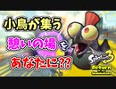 【実況】デコイチラシやテイオウイカが登場した今…なにかわすれていない？？part5【スプラトゥーン3 ヒーローモード】