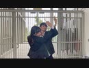 【HS.J】KICKBACK 踊ってみた【チェンソーマンOP】Chainsaw Man
