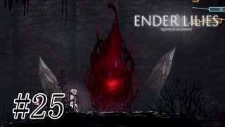 騎士と少女と穢れの国#25【ENDER LILIES】