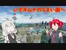 (日本からは)珍しい国際便【MSFS】