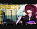 グロかわちゃんの沖縄旅行14