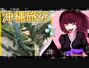 グロかわちゃんの沖縄旅行15