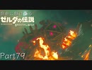 【プレイ動画】自由に駆け巡るゼルダの伝説ブレスオブザワイルド Part79