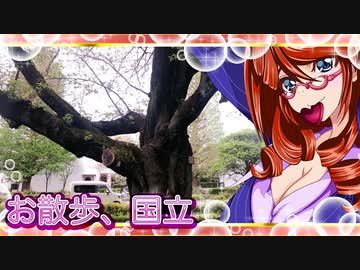 お散歩_国立⑤