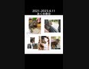 みくの命日｢2021-2023.4.11｣