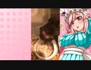 クリスのハムスターの日常。13