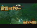 デカァァァァァいッ説明不要！【ゼルダの伝説 ブレス オブ ザ ワイルド】#2