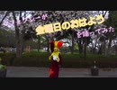 【マフォクシーが】「金曜日のおはよう」を踊ってみた【Fursuit Dance】