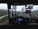 何回もやらかしました【ETS2】