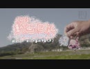 【1分弱動画日記】韮崎・わに塚の桜A【#012】