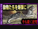 【 ゆっくり解説 】犬猫爆弾、コウモリ焼夷弾、鳩ミサイル…非道兵器　開発止まらず