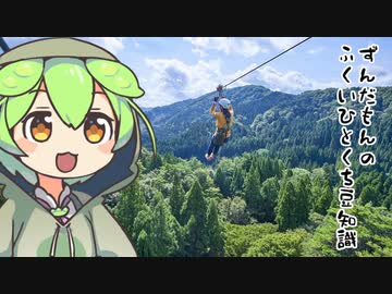 ずんだもん「めっちゃでかいジップラインがあるのだ」