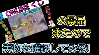 お値段以上!?オンラインくじの実物景品を見てみる。