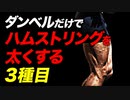 【筋トレ】ダンベルでハムストリングを太くする 3種目 | ボディビルチャンピオンが解説【ビーレジェンド プロテイン】