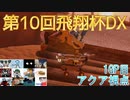 【第10回飛翔杯DX】突発性マリオカート part25【アクア視点1GP目】