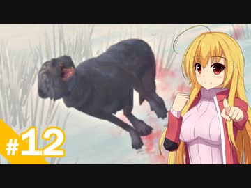 【The Long Dark】少女に忍び寄る雪山の陰 / 第１２話【ゆっくり実況プレイ】