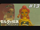 神獣ヴァ・ナボリスと英傑ウルボザ ゼルダの伝説 ブレスオブザワイルド マスターモード Part13【ゲーム実況】
