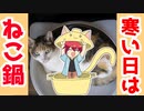 【ネタ】猫鍋でぽかぽか