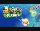 【ゲーム実況】夏だ！！海だ！！！カービィだ！！！！【星のカービィ ディスカバリー#5】