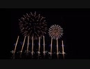 2023.4.8 （鹿児島） 桜島と芸術花火 ⑦