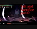 【Salt_and_Sacrifice】恐れ石の山にいる名を持たぬ司を狩り尽くす【実況】part37
