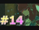 新作発売までに完走を目指すブレワイ実況！part14【ゼルダの伝説 BotW 実況】