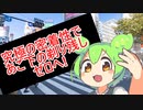 【ずんだもんBB素材+使用例】髭剃りのCMに出演するずんだもん