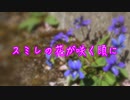 【小春六花】　スミレの花が咲く頃に／ TEAM DJUNGARIAN expd. 小春六花
