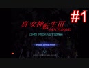 俺転生【part1】真・女神転生III NOCTURNE HD REMASTER