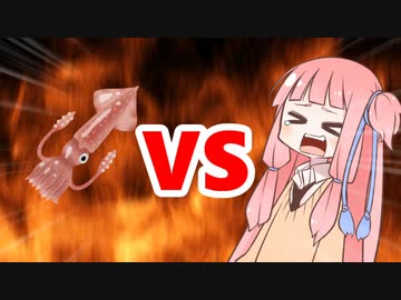 茜ちゃんVSイカ