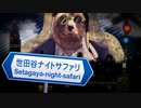 世田谷ナイトサファリ 歌ってみた hiMe