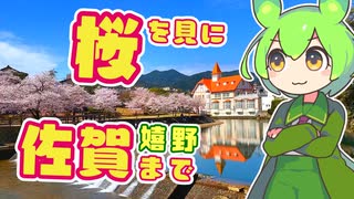 【桜の季節に圧倒的に映える温泉街】桜を見に佐賀まで#01　～嬉野温泉～【ずんだもん＆ずん子】