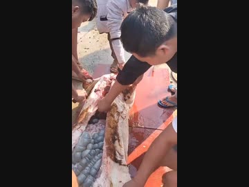 ホモと見る解体したブタの内臓を生のまま食べる中国人