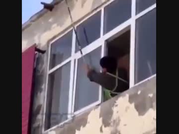 ホモと見る　スズメバチvs人間