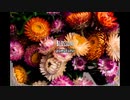Blossom